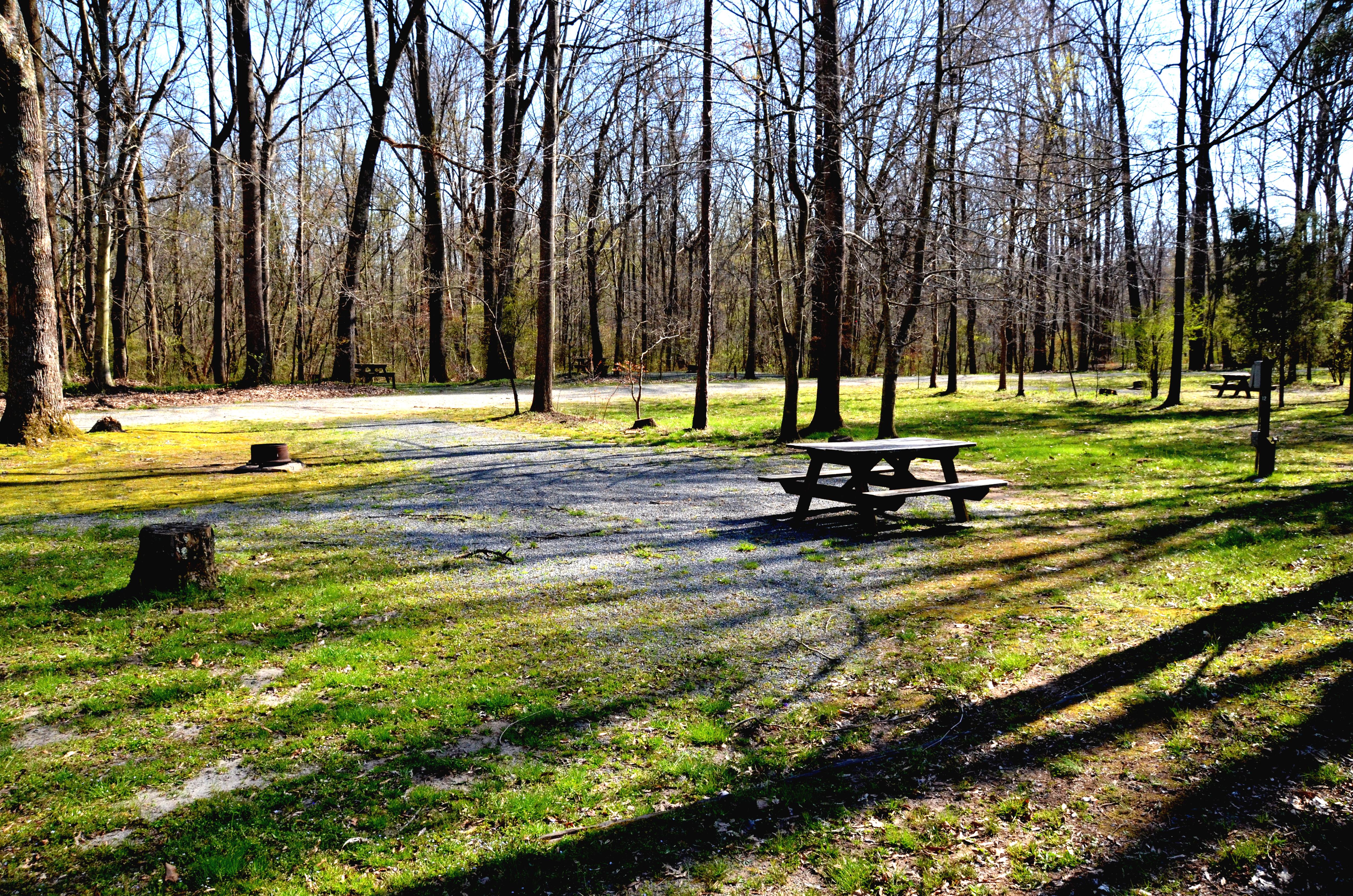 Escape to Paradise: Your Dan River Campground Adventure Awaits!