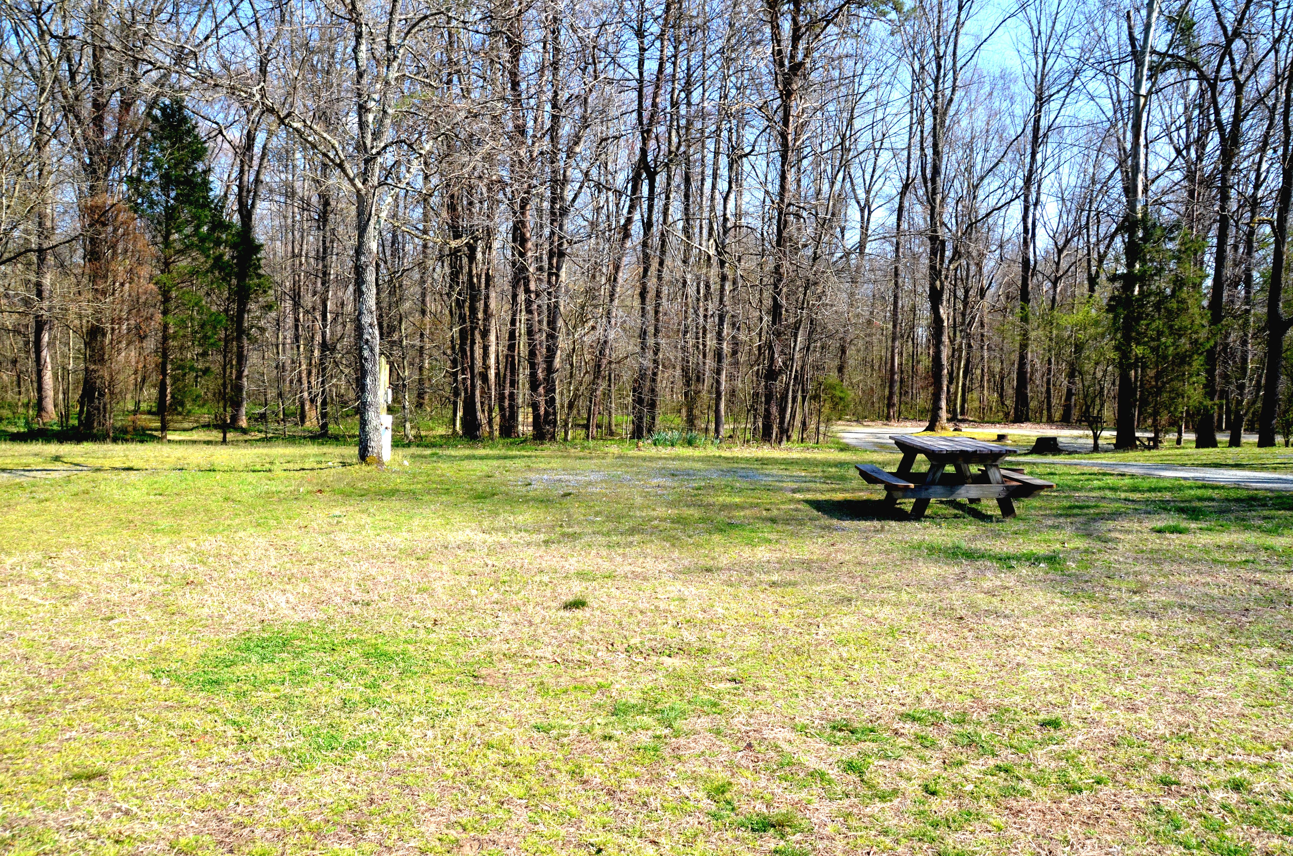 Escape to Paradise: Your Dan River Campground Adventure Awaits!