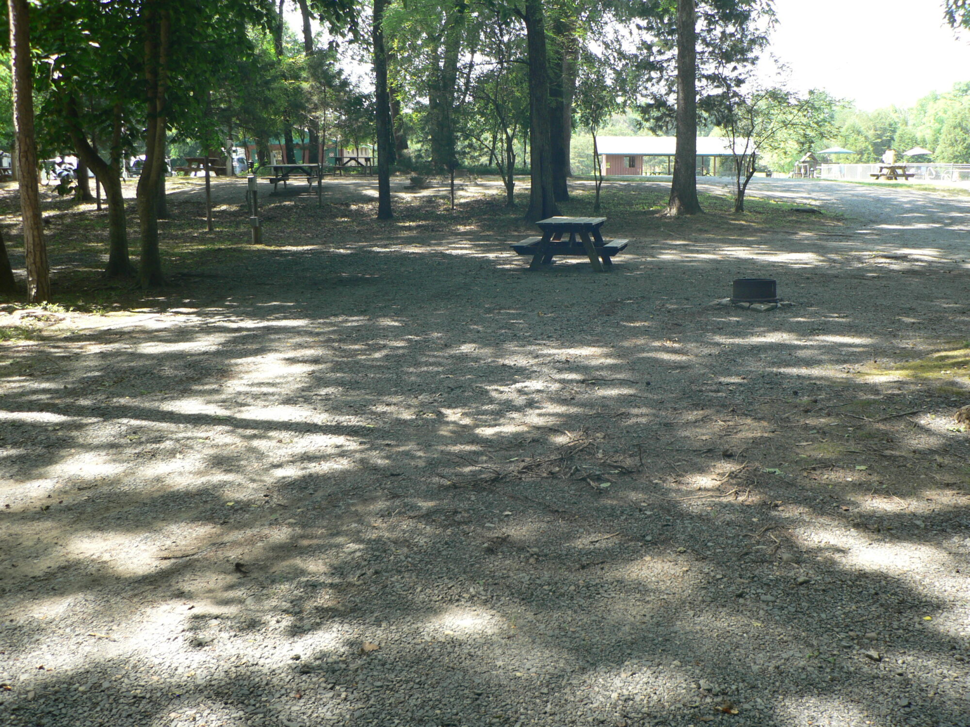 Campsite Pictures - Dan River Campground